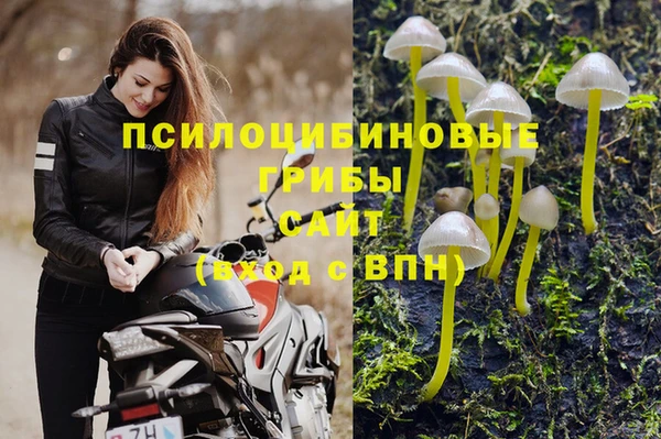 эйфоретик Алексин