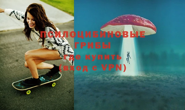 молекула духа Алзамай
